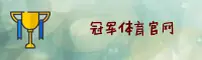 使用指南与常见问题